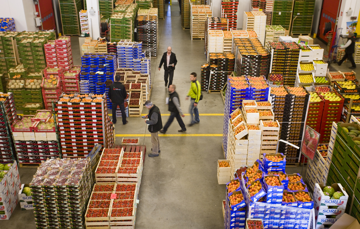 Commerce de gros, à l'exception des automobiles et des motocycles